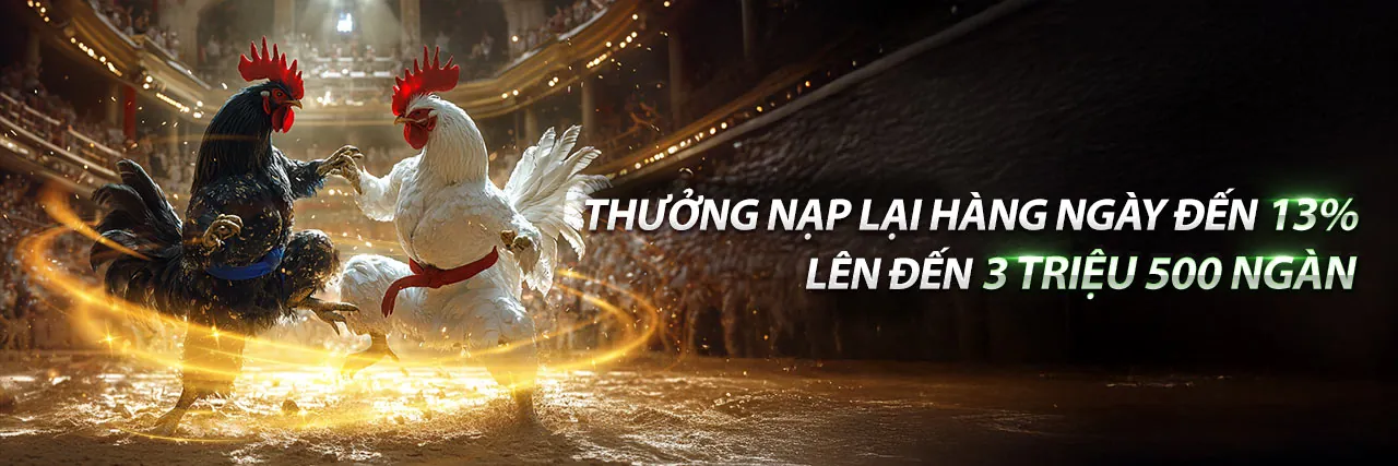 Đá gà trực tiếp 5/4 tại QH88